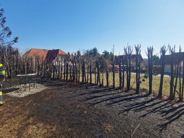 B09-Wald-Hecken vom 21.03.2022  |  © Feuerwehr Sebersdorf (2022)